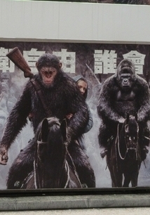 Filmbeschreibung zu Planet der Affen: Survival
